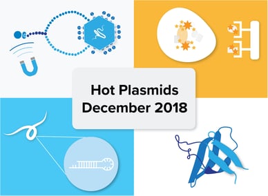 Hot-Plasmids